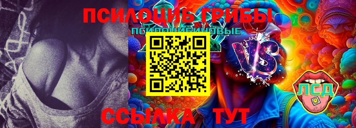 Псилоцибиновые грибы прущие грибы  Галлюциногенные грибы прущие грибы  Карабулак 